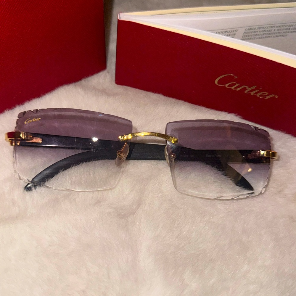 Cartier Rimless Black Buff Horn Gold Diamond Cut Transition Sunglasses C51E68C0